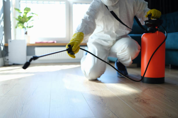 Reliable Blood Cleanup contractor in Yettem, CA by Trauma Clean Pros